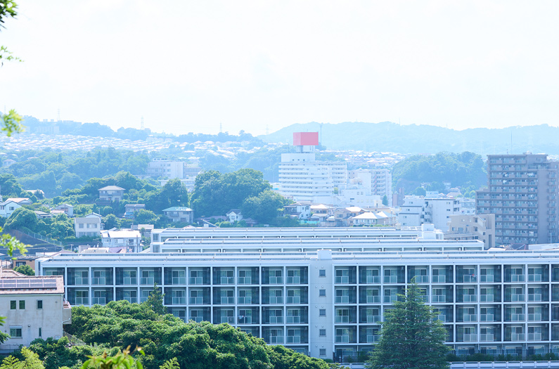 策定の背景・目的